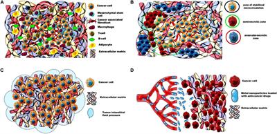 Challenges and Opportunities Associated With Drug Delivery for the Treatment of Solid Tumors